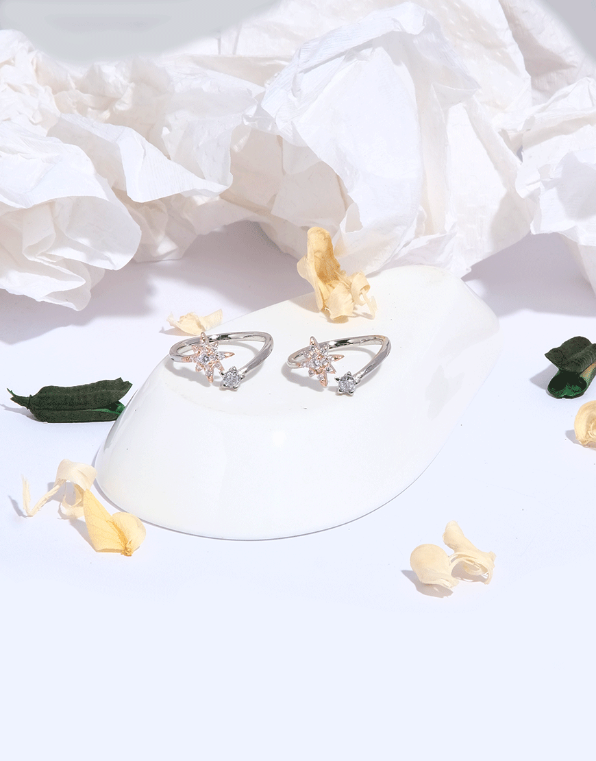 Silver Rosegold 2-Colour Toe-Ring