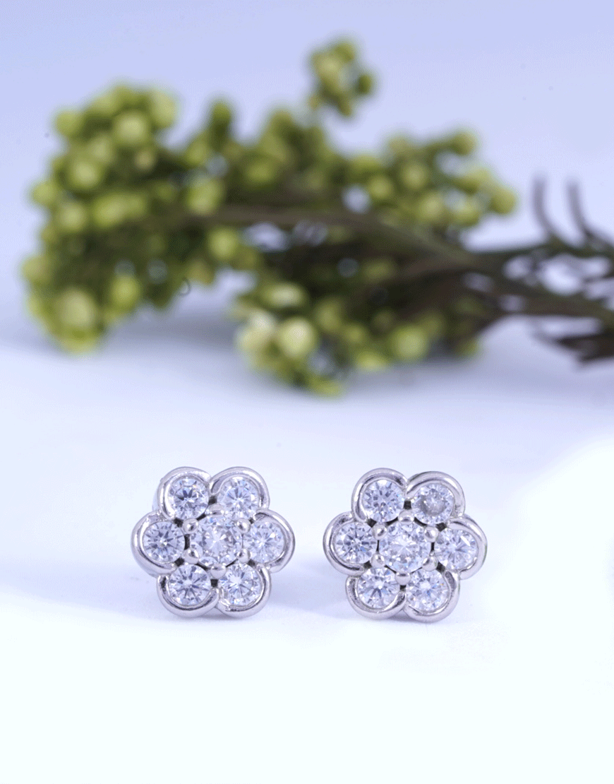 Nakshatra small silver earring t2