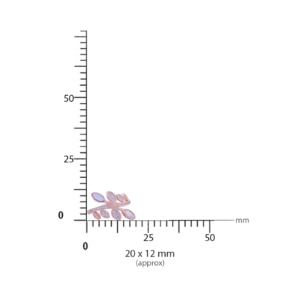 rosegold mop leaf ring 3.png