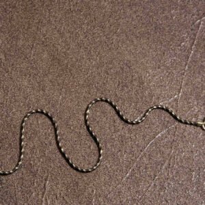silver italian chain nazariya ankletsingle3.jpg